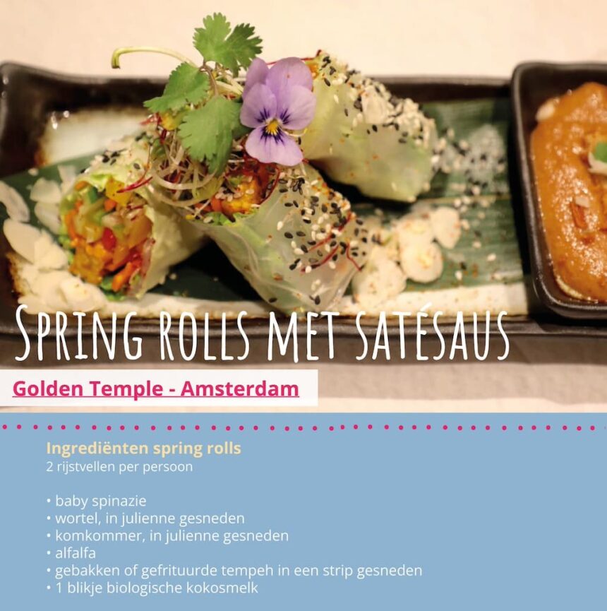 Puur! plantaardig recepten e-book horeca restaurants vegan spring rolls golden temple amsterdam