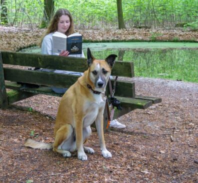 Boek De Dierenbevrijders, Jeroen Siebelink